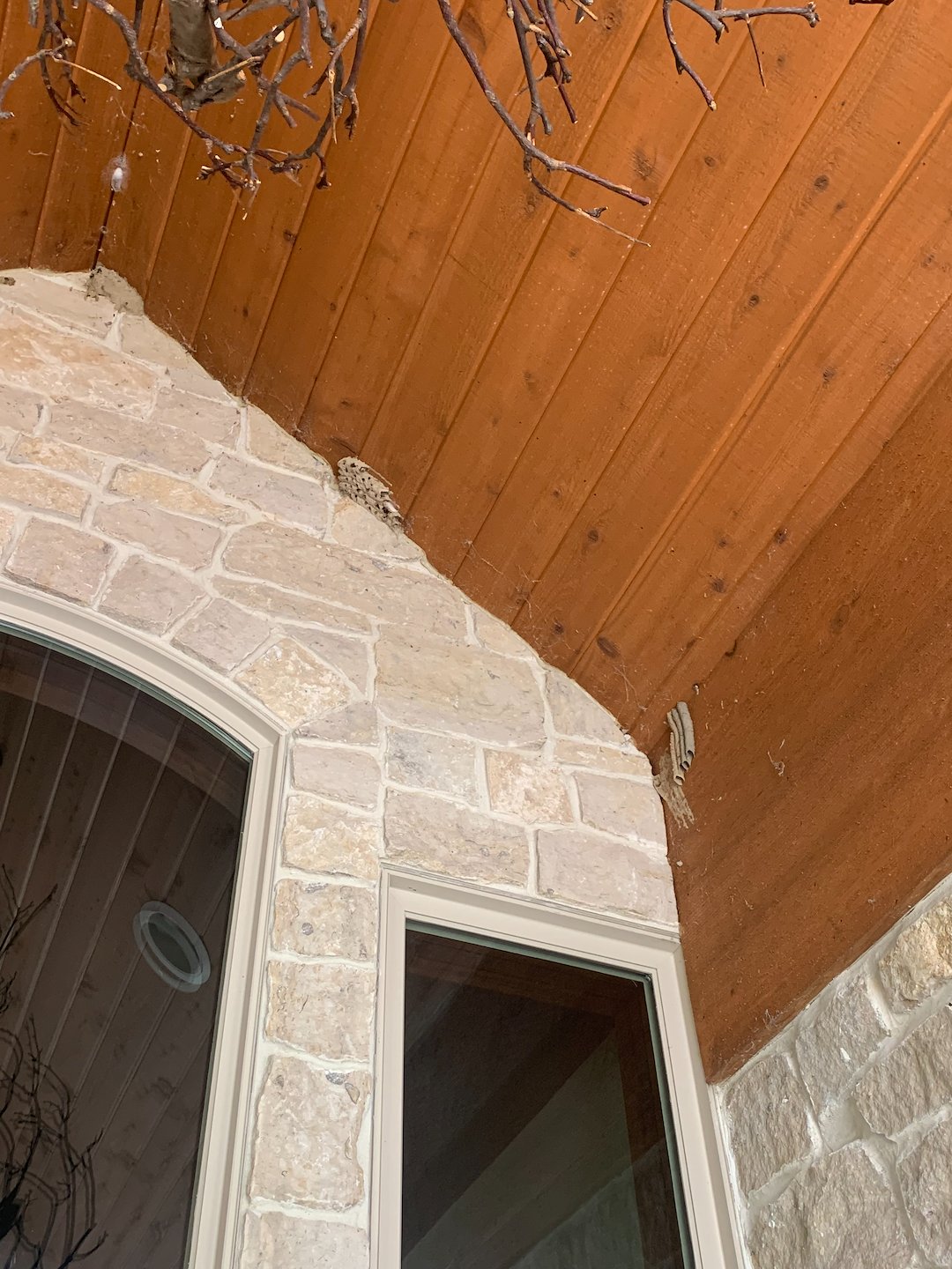 Attention to Detail Siding Cleaning Performed in Brunswick, Ohio