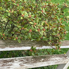 Top-Quality-Deck-Cleaning-in-Portage-Lakes-Ohio 0